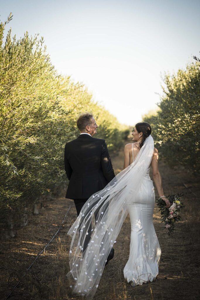 Bride and groom walking in olive tree