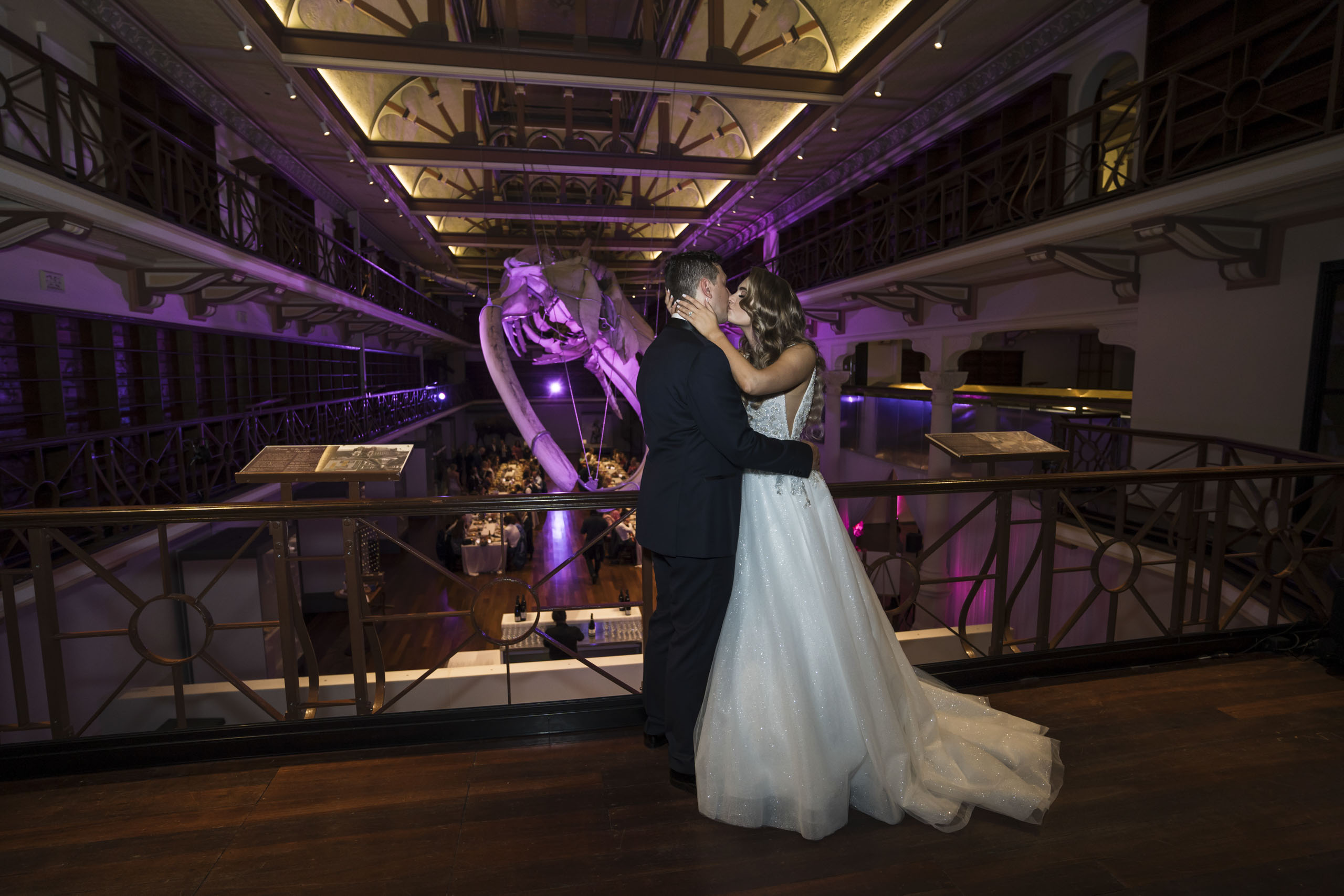 WA Museum wedding day, Hackett Hall, Blue Whale skeleton